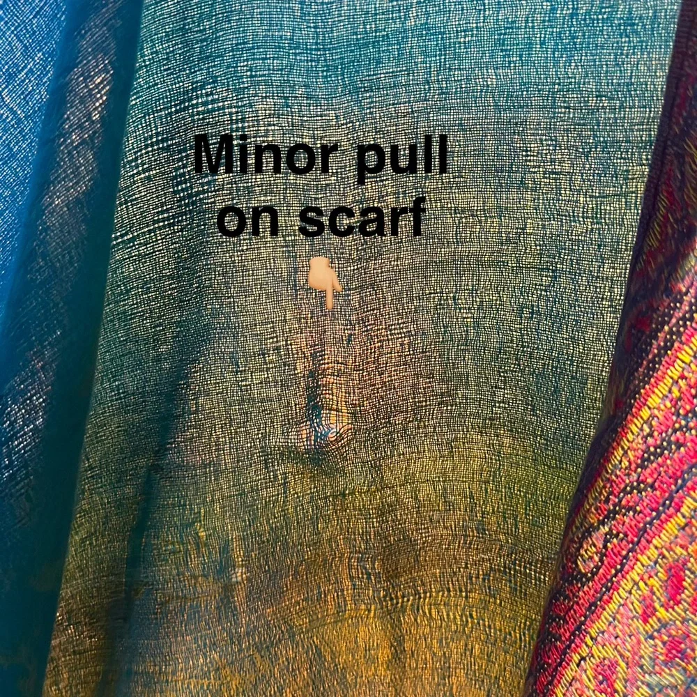 π PASHPASHMINA 100% Cashmere Scarf β 68β x 27β β Multicolor Paisley - Picture 6 of 8